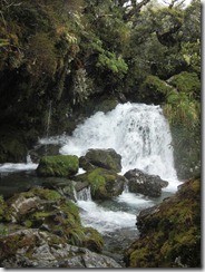 kleiner Wasserfall am Routeburn Track